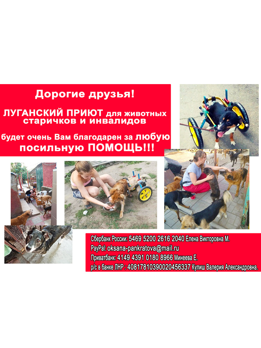 помощь животным в Луганске